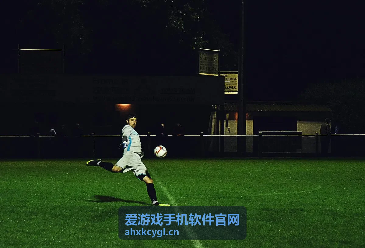 爱游戏手机软件官网运行配置与机型适配说明